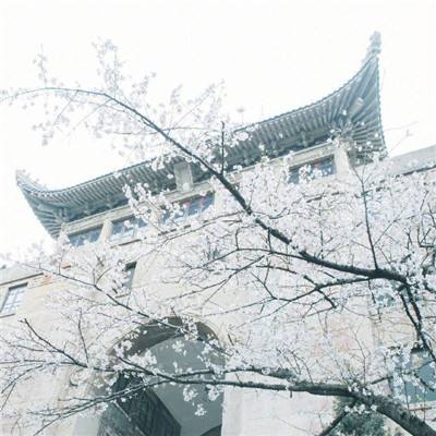 红石崖敖包草原文化旅游节18日开幕